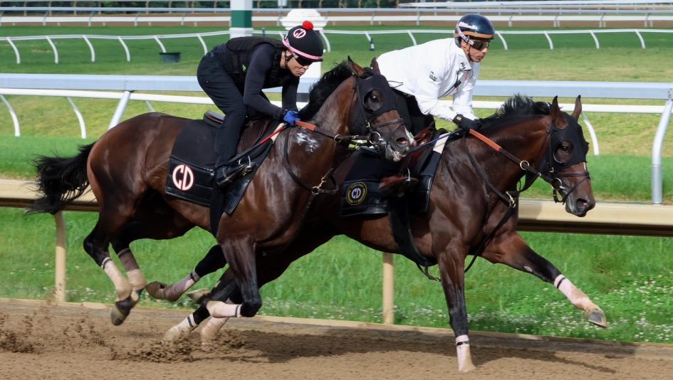 Power Rankings, Kentucky Derby, Triple Crown, Preakness Stakes, Belmont Stakes, Haskell Stakes, Golden Tempo, Renegade, Napoleon Solo, Crude Velocity, Chief Wallabee, Commandment, Stark Contrast, Always a Runner, Iron Honor, The Puma, horse racing, ABR