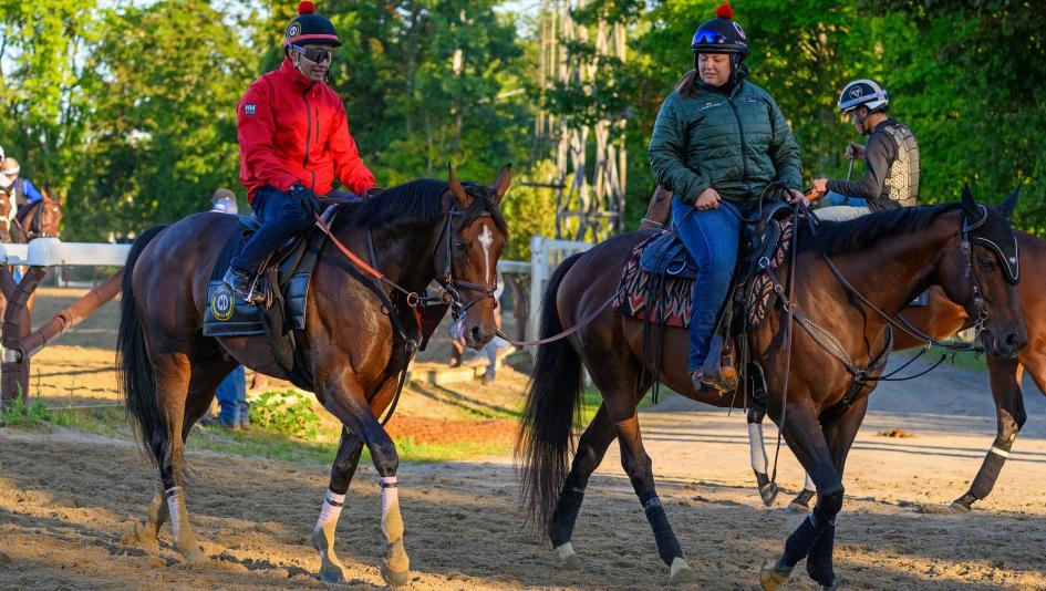 Travers Stakes, Saratoga, betting, Golden Tempo, Emerging Market, Leading Change, Napoleon Solo, The Puma, Renegade, Sea Strike, Ocelli, Baby Vino, Silent Tactic, speed figure, jockey, trainer, analysis, horse racing, ABR 