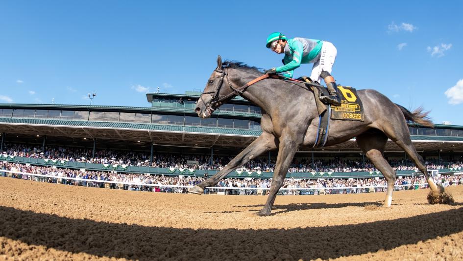 Haskell Stakes, Monmouth Park, gambling, handicapping, Breeders’ Cup Classic, Gosger, Journalism, Burnham Square, Goal Oriented, Bracket Buster, Wildncrazynight, National Law, Kentucky Outlaw, Equibase Speed Figure, ABR