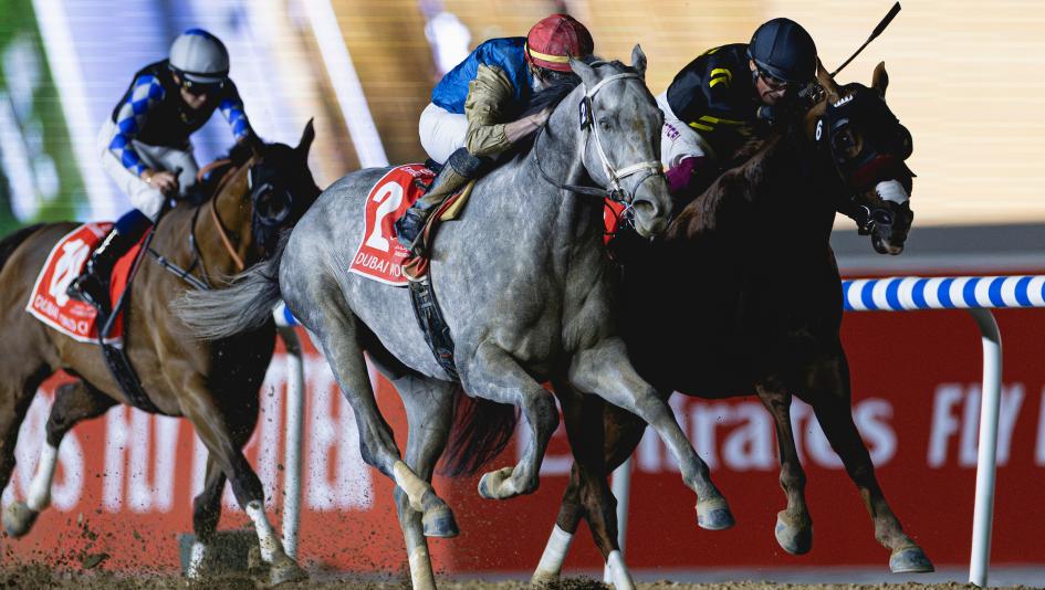Dubai World Cup, Hit Show, Wathnan Racing, Brad Cox, Florent Geroux, Forever Young, Mixto, Doug O’Neill, Frankie Dettori, Admire Daytona, United Arab Emirates Derby, Meydan Racecourse, Kentucky Derby, Straight No Chaser, Raging Torrent Dubai World Cup, Hit Show, Wathnan Racing, Brad Cox, Florent Geroux, Forever Young, Mixto, Doug O’Neill, Frankie Dettori, Admire Daytona, United Arab Emirates Derby, Meydan Racecourse, Kentucky Derby, Straight No Chaser, Raging Torrent