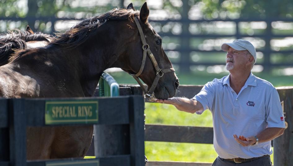 Visit Horse Country, carrots, carrot gram, carrot, horse, charity, racehorse, broodmare, Stable Recovery, nonprofit, Hallie Hardy, farms, stallion, Kentucky Derby, horse racing, ABR