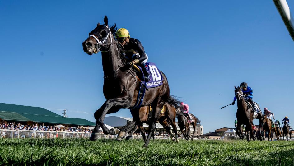 Kentucky Downs, Turf Sprint Stakes, Breeders’ Cup, Howard Wolowitz, Khaadem, Arrest Me Red, betting, exacta, handicapping, gambling, turf, sprint, odds, horse racing, ABR