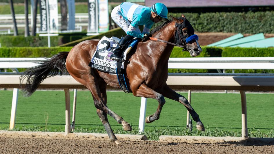 Equibase, earnings, leaderboard, rankings, Hughes, American History, U. S. S. Valor, 2-year-old, Breeders’ Cup, juvenile, Rhetorical, Classic Q, older male, older female, jockey, trainer, Jose Ortiz, Flavien Prat, Brad Cox, horse racing, ABR