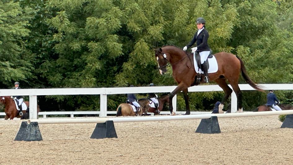 Mary Termer, Decorated Invader, Finn, Retired Racehorse Project Thoroughbred Makeover Mary Termer, Decorated Invader, Finn, Retired Racehorse Project Thoroughbred Makeover