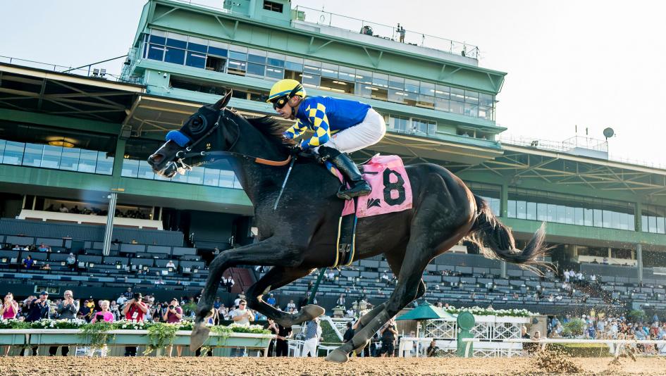 Santa Anita Park, Santa Anita Sprint, Zenyatta Stakes, Imagination, Bob Baffert, Juan Hernandez, Straight No Chaser, Dr. Venkman, Cavalieri, Breeders’ Cup Sprint, Distaff, horse racing, ABR