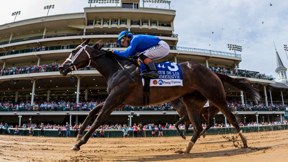 Equibase Standings: Stakes Wins Elevate Magnitude, Immersive, and Other Standouts