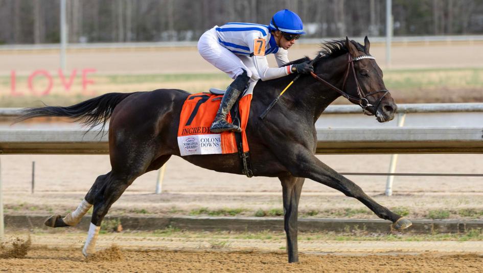 Auction, sale, price, pinhook, Mine That Bird, Incredibolt, yearling, Kentucky Derby, Seattle Slew, Potente, 2-year-old, Thoroughbred, So Happy Fusaichi Pegasus, Commandment, Further Ado, Triple Crown, America's Best Racing, horse racing, ABR