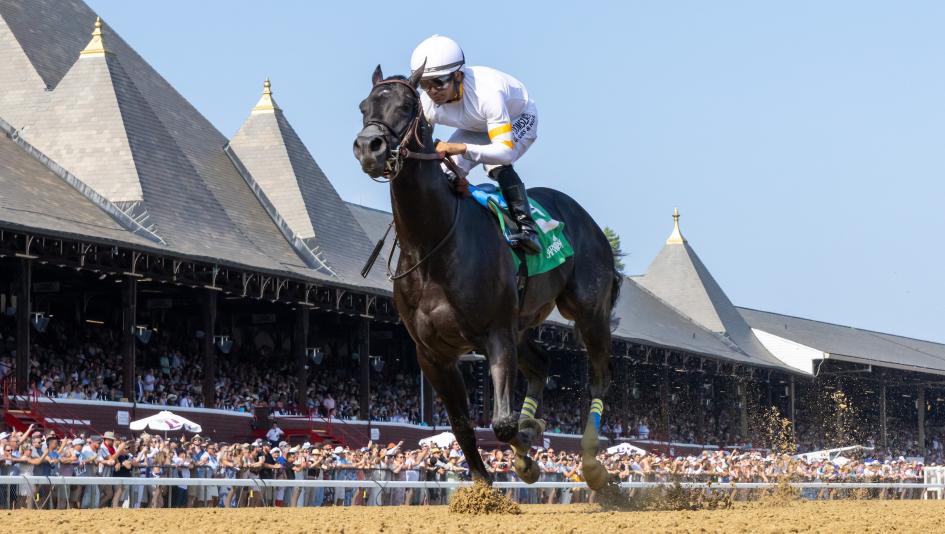 Champagne Stakes, Belmont, Aqueduct, Big A, betting, handicapping, trifecta, It’s Our Time, Just Asap, Curtain Call, Universe, Napoleon Solo, Talkin, Amoss, Casse, Breeders’ Cup, 2-year-old, juvenile, horse racing, ABR