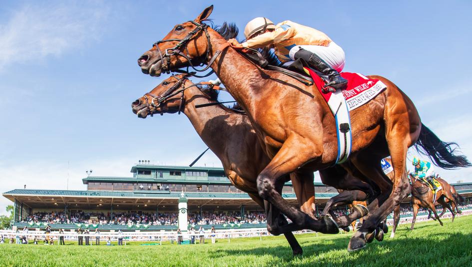 Horse Racing Explained: What Is a Dead Heat?