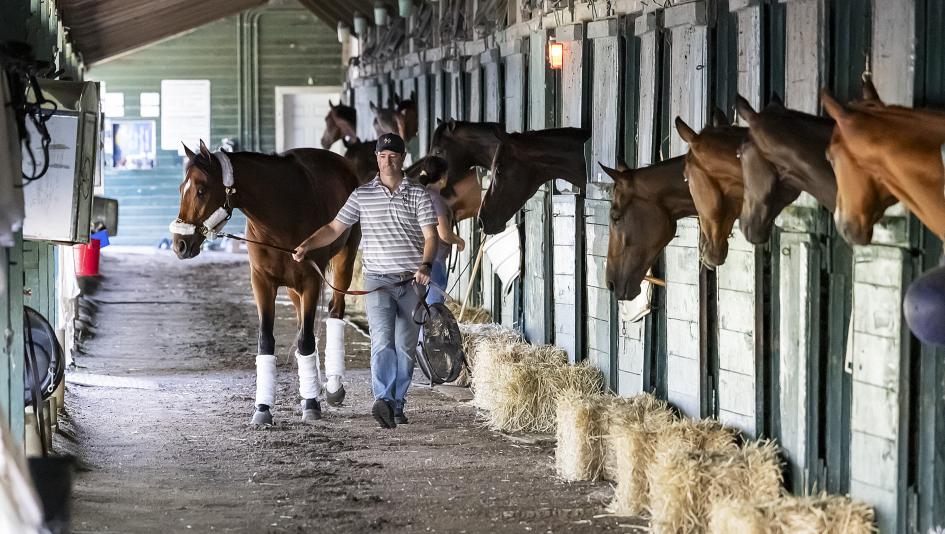 ABR’s Trifecta Picks for the 2025 Haskell Stakes