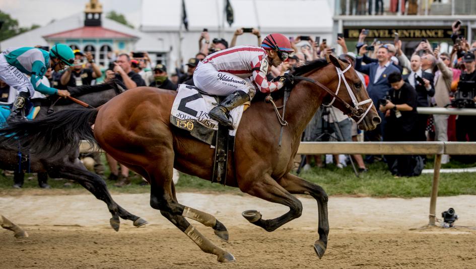 Horse racing, finishes, races, thrillers, comebacks, world record, wins, photo finish, Preakness Stakes, Kentucky Derby, Breeders’ Cup Classic, Personal Ensign, Spinster, Del Mar Handicap, Journalism, Sovereignty, Thorpedo Anna, Gold Phoenix, Mindframe, F
