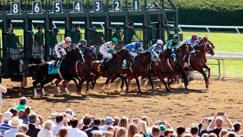 Keeneland Queen Elizabeth Stakes Elusive Princess Mawj Lindy turf exacta betting gambling horseplayers Asmussen Zeitlos Accede Ortiz Chad Brown horse racing Keeneland Queen Elizabeth Stakes Elusive Princess Mawj Lindy turf exacta betting gambling horseplayers Asmussen Zeitlos Accede Ortiz Chad Brown horse racing