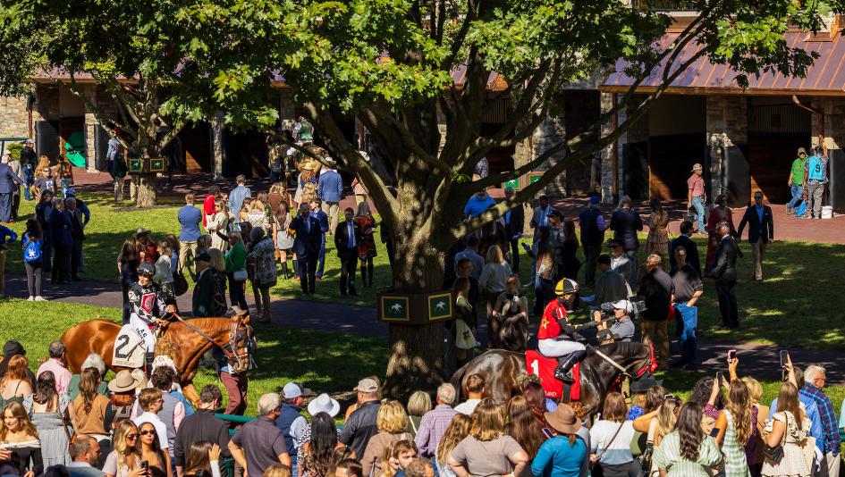 TV, television, radio, streaming, horse racing, Keeneland, Breeders’ Cup, British Champions, Ascot, Santa Anita, Gulfstream, Belmont at the Big A, Woodbine, Far Hills, steeplechase, FanDuel TV, FOX, NYRA, Byk, HRRN, RTN, ABR