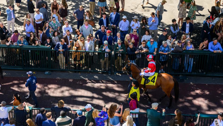 Keeneland, betting, gambling, Perryville, Raven Run, stakes, Percy’s Bar, Mashallah, A Fine Chardonnay, Conceit, Deep Flame, Obliteration, Solitude Dude, Jose Ortiz, fillies, sprint, horse racing, ABR