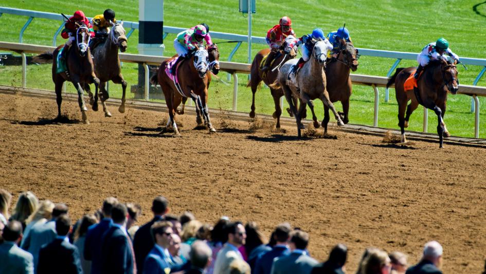 Eight New Year’s Resolutions in 2026 for Horse Racing Fans