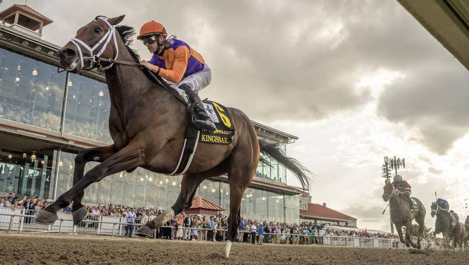 Derby Dozen, Kentucky Derby, Forte, Tapit Trice, Practical Move, Reincarnate, National Treasure, Kingsbarns, Two Phil’s, Confidence Game, Angel of Empire, Verifying, Rocket Can, Geaux Rocket Ride Derby Dozen, Kentucky Derby, Forte, Tapit Trice, Practical Move, Reincarnate, National Treasure, Kingsbarns, Two Phil’s, Confidence Game, Angel of Empire, Verifying, Rocket Can, Geaux Rocket Ride