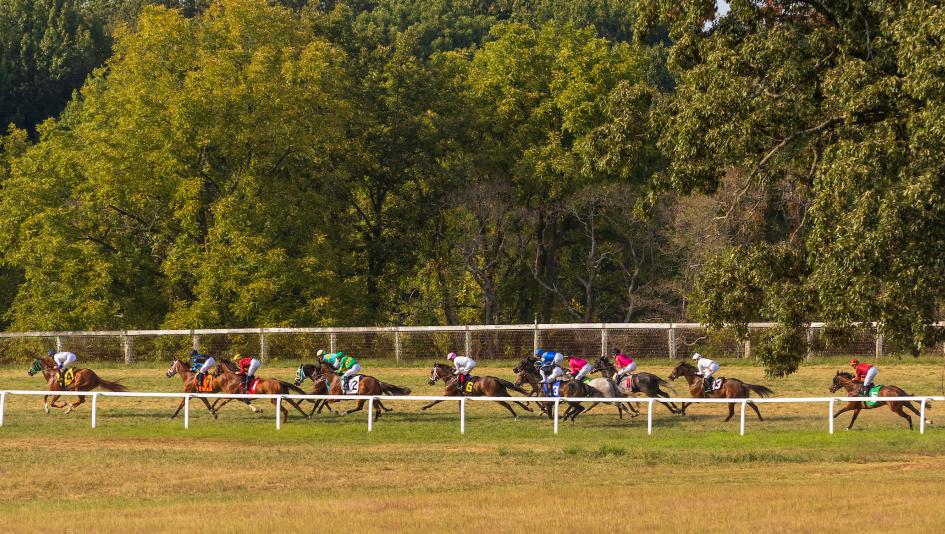 Kentucky Downs, gambling, betting, handicapping, weekend winners, exacta, Test Score, Sandman, Hill Road, Nashville Derby Invitational, Arrest Me Red, Bear River, Howard Wolowitz, Mint Kentucky Turf Cup, Wesley Ward, Junior Alvarado, turf, ABR
