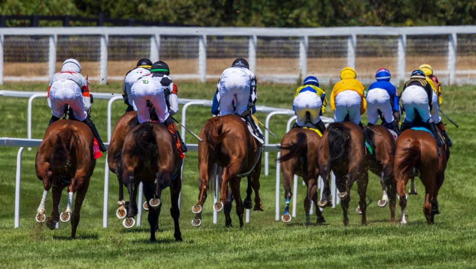Where to Watch/Listen: Horse Racing Coverage Sept. 4-7