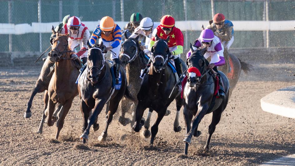 Kentucky Derby, Derby Dozen, Byron King, BloodHorse, Paladin, Commandment, Nearly,  Chief Wallabee, The Puma, Class President, Silent Tactic, Renegade, Potente, Pavlovian, Further Ado, Emerging Market, horse racing, ABR