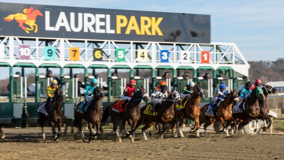 Laurel Park, Preakness Preview Day, racetrack, gambling, horseplayers, handicapping challenge, tournament, contest, National Horseplayers Championship, Preakness, Breeders’ Cup, betting challenge, TVG, TwinSpires, Maryland Jockey Club, Xpressbet, ABR