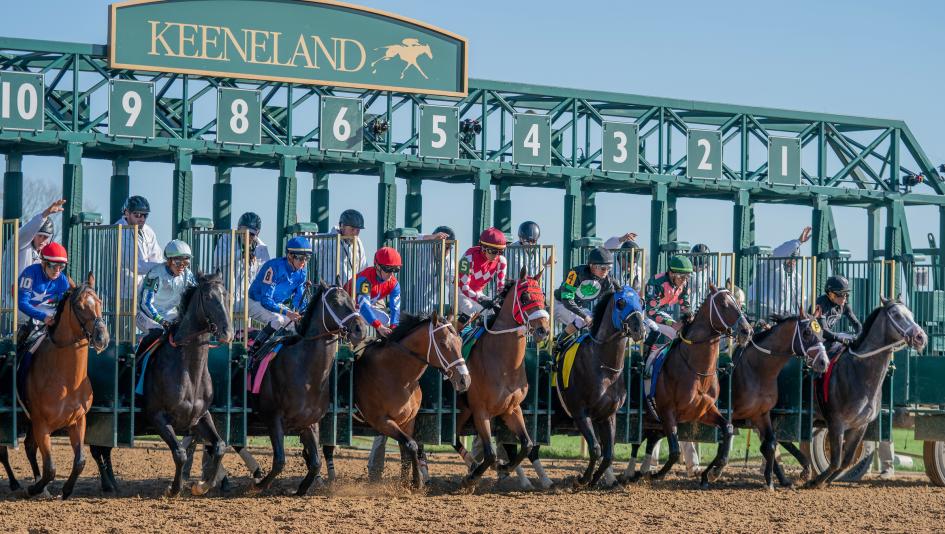 Derby Dozen BloodHorse Byron King Kentucky Derby rankings Domestic Product Stronghold Resilience Just Steel Dornoch Mystik Dan Catching Freedom Just a Touch Sierra Leone Fierceness Honor Marie Forever Young Brad Cox Chad Brown horse racing Encino Derby Dozen BloodHorse Byron King Kentucky Derby rankings Domestic Product Stronghold Resilience Just Steel Dornoch Mystik Dan Catching Freedom Just a Touch Sierra Leone Fierceness Honor Marie Forever Young Brad Cox Chad Brown horse racing Encino