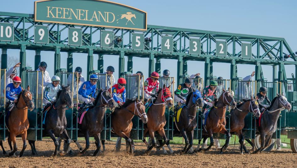 Derby Dozen BloodHorse Byron King Kentucky Derby rankings Domestic Product Stronghold Resilience Just Steel Dornoch Mystik Dan Catching Freedom Just a Touch Sierra Leone Fierceness Honor Marie Forever Young Brad Cox Chad Brown horse racing Encino