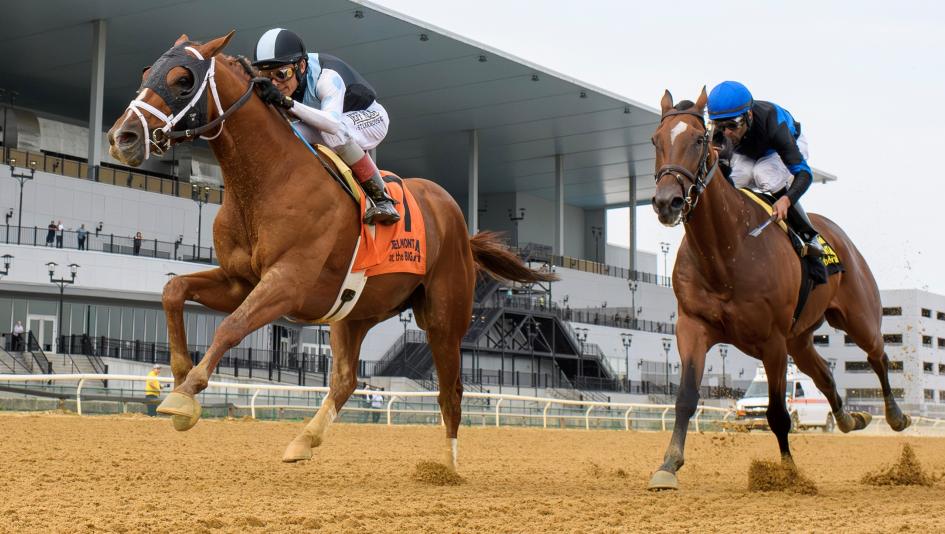 Breeders’ Cup Classic, Power Rankings, horse racing, Del Mar, Sovereignty, Fierceness, Sierra Leone, Mindframe, Journalism, Forever Young, Baeza, Antiquarian, Locked, Woodward, Highland Falls, ABR