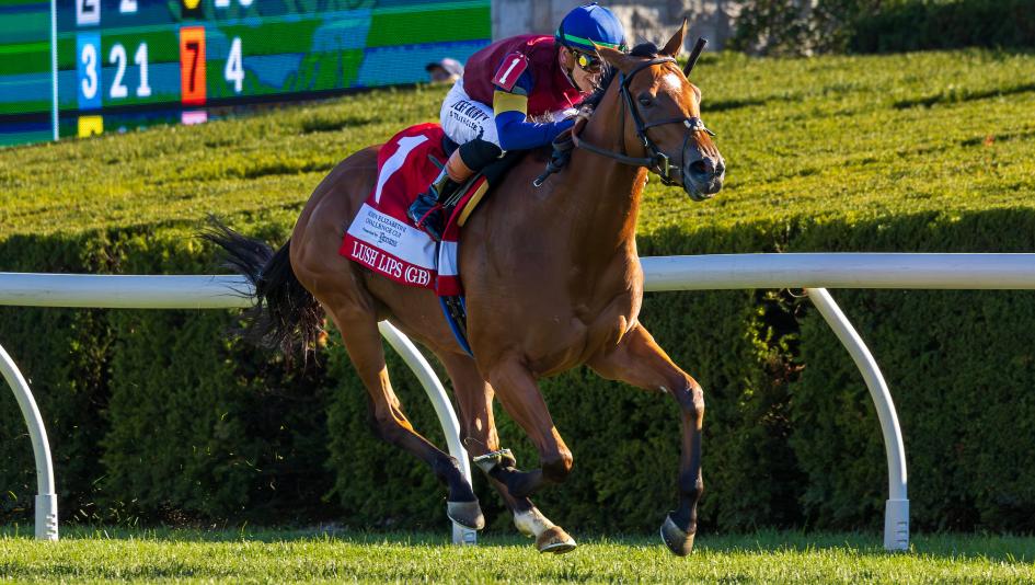 Equibase Rankings: Standout Turf Filly Lush Lips Moves Up Earnings Leaderboard