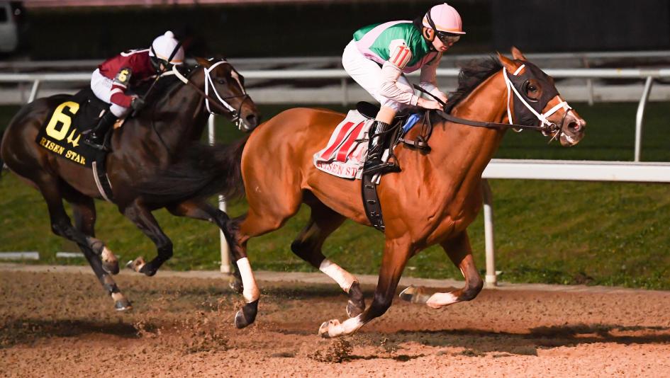 Much to Like When Evaluating Kentucky Derby Contender Mandaloun