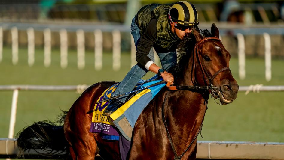 Breeders Cup 2019 Classic Contenders