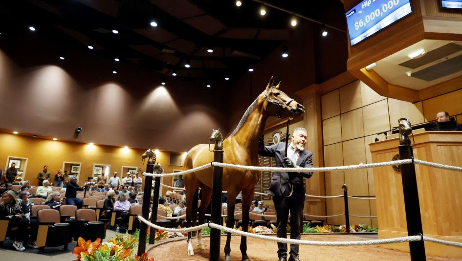 Where to Watch/Listen: Horse Racing and Sales Coverage Nov. 3-9