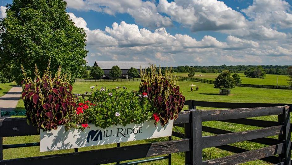 Visit Horse Country Mill Ridge A Wellspring Of Industry Influence