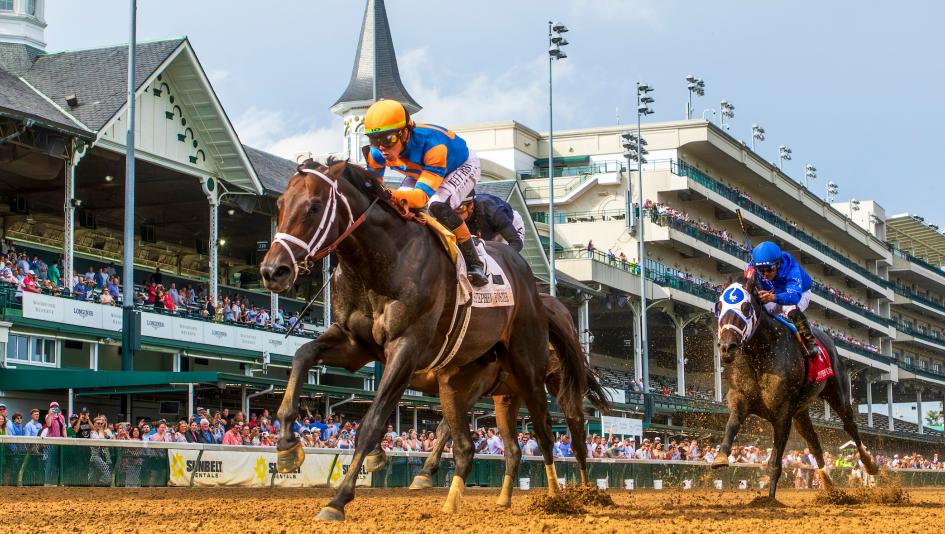 Horse of the Year, Mindframe, Fierceness, Thorpedo Anna, Sierra Leone, Sovereignty, Journalism, Kentucky Derby, Belmont Stakes, Preakness Stakes, Stephen Foster Stakes, Breeders’ Cup Classic, Metropolitan Handicap, ABR, horse racing