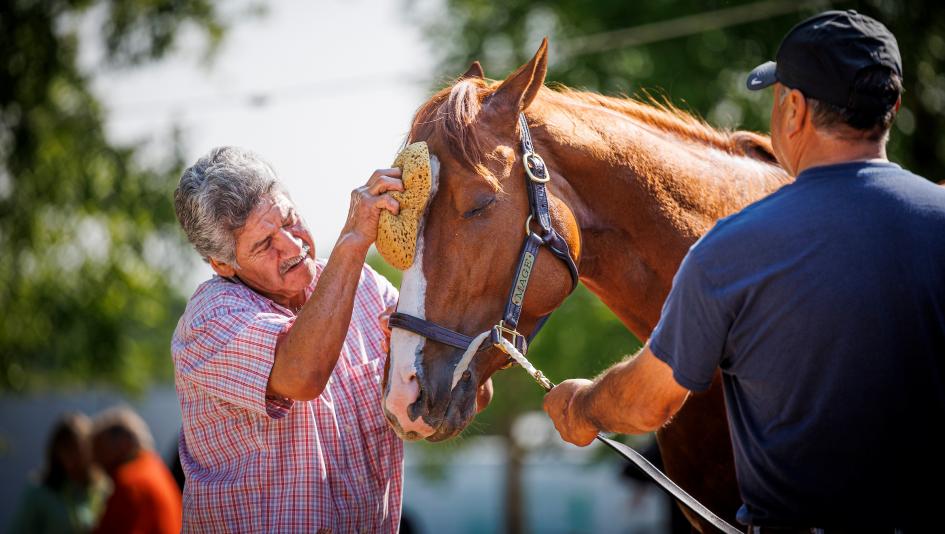 Mage Preakness Kentucky Derby Pimlico Ramiro Restrepo owner Gustavo Delgado Triple Crown horse racing training Miami Fasig-Tipton diary Mage Preakness Kentucky Derby Pimlico Ramiro Restrepo owner Gustavo Delgado Triple Crown horse racing training Miami Fasig-Tipton diary
