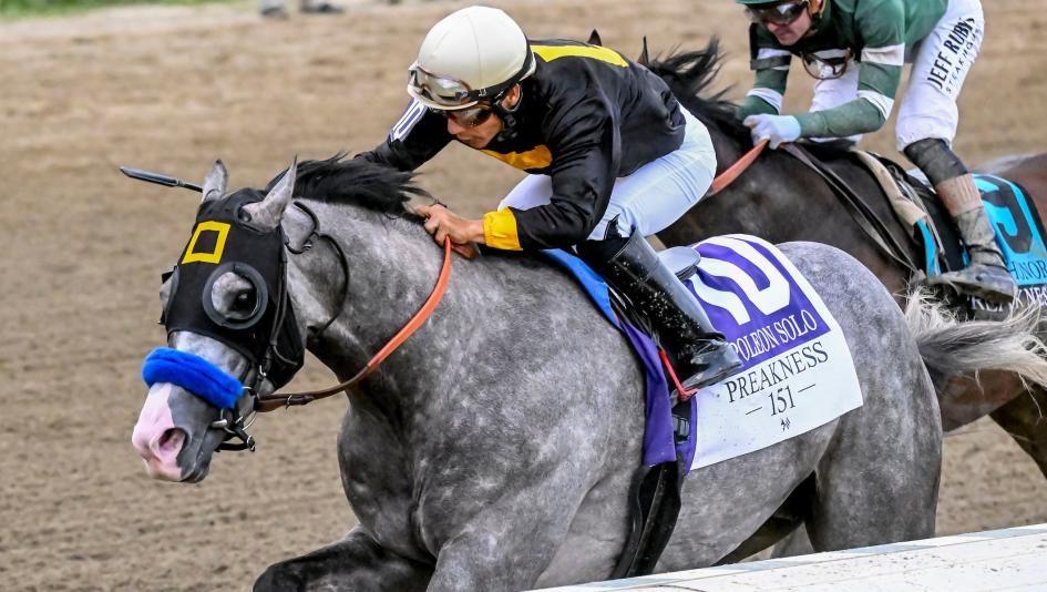 Triple Crown Prospect Profiles: What to Expect From Preakness Winner Napoleon Solo