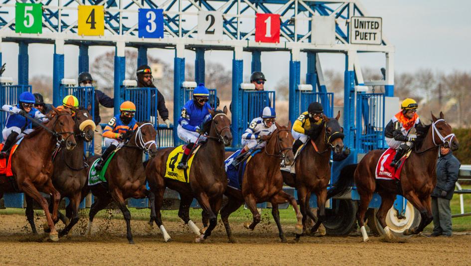 Banking on a ‘Believable’ Result in 2026 Demoiselle Stakes 