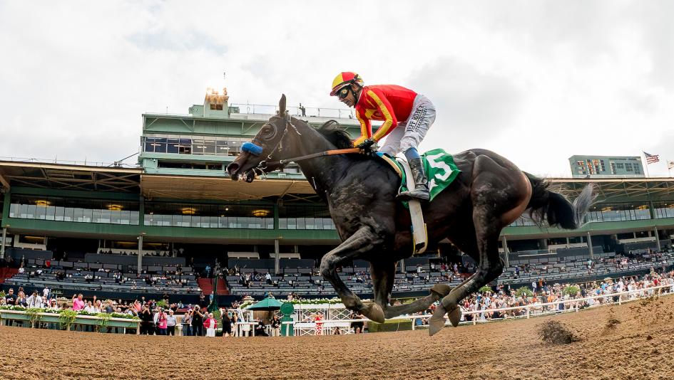 Goodwood Stakes, Cheat Sheet, Santa Anita Park, Breeders’ Cup Classic, Taif, Vodka Vodka, McAfee, Original Sin, Midnight Mammoth, Mr. A. P., Forged Steel, Caldera, Nevada Beach, Baffert, jockey, trainer, horse racing, ABR