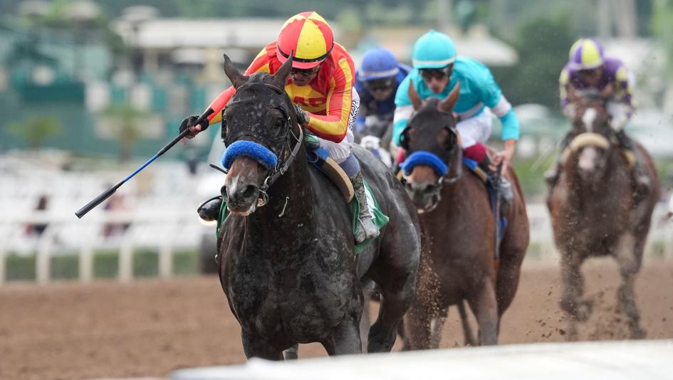 Nevada Beach, Goodwood Stakes, Breeders’ Cup Classic, Bob Baffert, Mike Smith, speed figure, pedigree, Santa Anita Park, Equibase, Beyer, Omaha Beach, Los Alamitos Derby, colt, 3-year-old, Full Serrano, horse racing, ABR