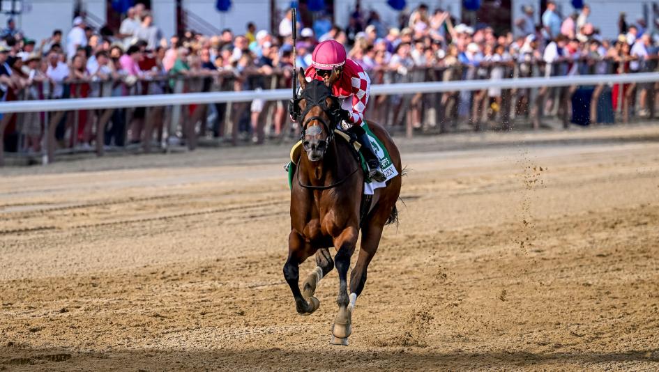 Ten Fun Facts About the 2026 Breeders’ Cup Challenge Series