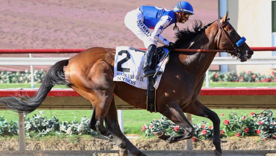 Nysos, Breeders’ Cup Classic, Breeders’ Cup Dirt Mile, San Diego Handicap, Triple Bend Stakes, Baoma, Bob Baffert, Flavien Prat, Journalism, Nyquist, breeding, pedigree, speed figure, Beyer, horse racing, ABR, trainer, jockey
