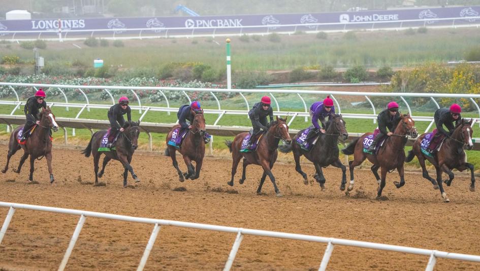 TV Breeders’ Cup workouts training radio television FanDuel TV Keeneland Churchill Downs Del Mar Santa Anita Park Gulfstream Park Woodbine Byk America’s Day at the Races FOX NYRA Meadowlands HRRN RTN entries TV Breeders’ Cup workouts training radio television FanDuel TV Keeneland Churchill Downs Del Mar Santa Anita Park Gulfstream Park Woodbine Byk America’s Day at the Races FOX NYRA Meadowlands HRRN RTN entries