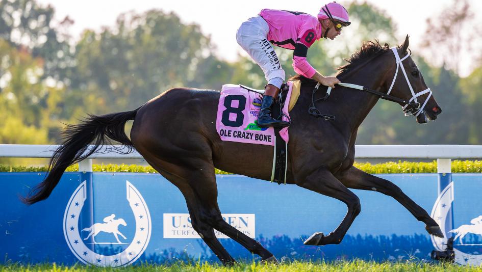 Ole Crazy Bone, Breeders’ Cup Turf, Win and You’re In, Kentucky Turf Cup, Kentucky Downs, Flavien Prat, Mike Maker, claimed, claiming, claimer, speed figure, pedigree, Ellis Park, horse racing, ABR