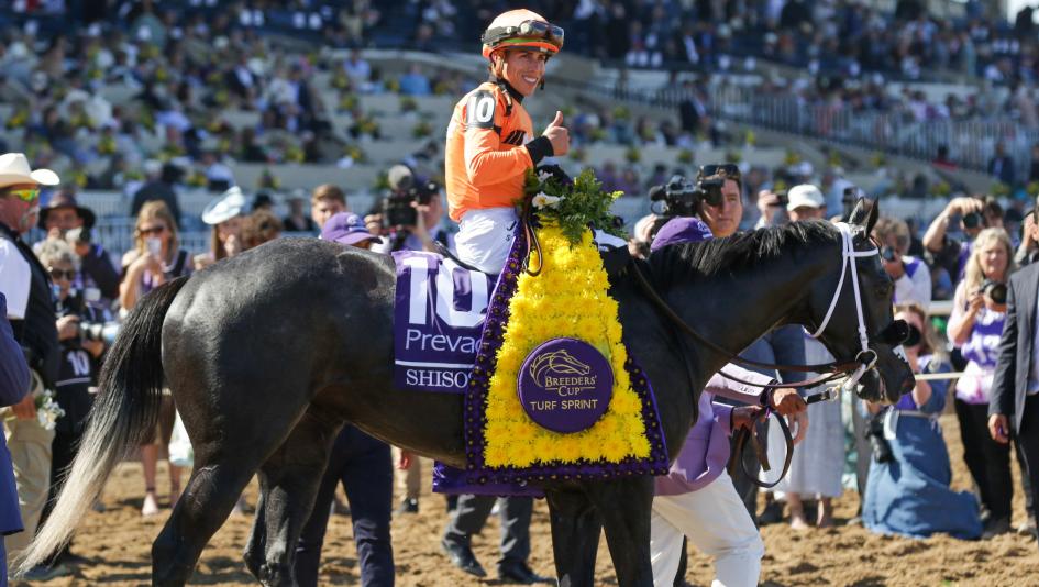 Equibase, earnings, rankings, leaderboard, North America, owner, breeder, jockey, trainer, Irad Ortiz, Flavien Prat, Brad Cox, Steve Asmussen, Godolphin, Sovereignty, Ted Noffey, Super Corredora, Forever Young, Ag Bullet, Shisospicy, horse racing, ABR