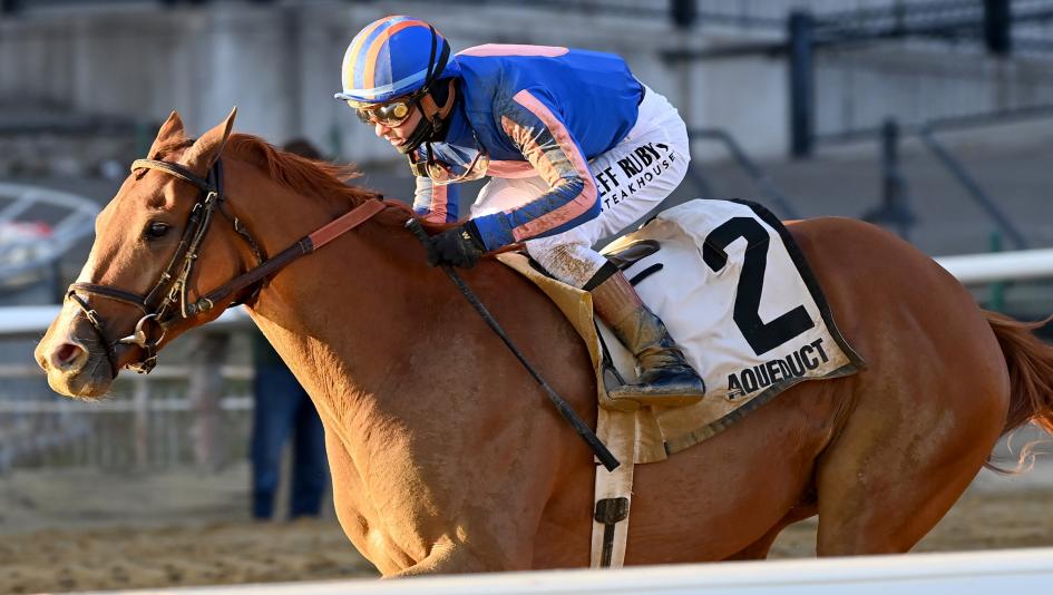 Paladin, Remsen Stakes, Aqueduct, jockey, trainer, owner, Kentucky Derby, Flavien Prat, Chad Brown, Renegade, speed figures, pedigree, Gun Runner, prospect, sire, horse racing, ABR