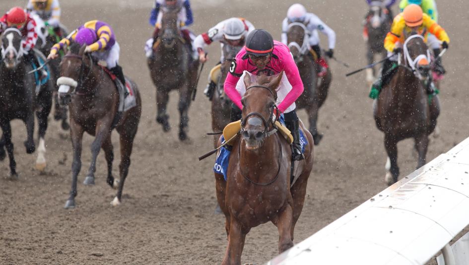 Plate Trial, King’s Plate, Woodbine, Call Me Sue, Scorching, Unbridled Weather, Sedburys Ghost, Regal Guest, Autobahn Ace, Watsonville Road, Dewolf, Forty N Five, Notorious Gangster, jockey, trainer, Casse, Carroll, Velazquez, Husbands, ABR