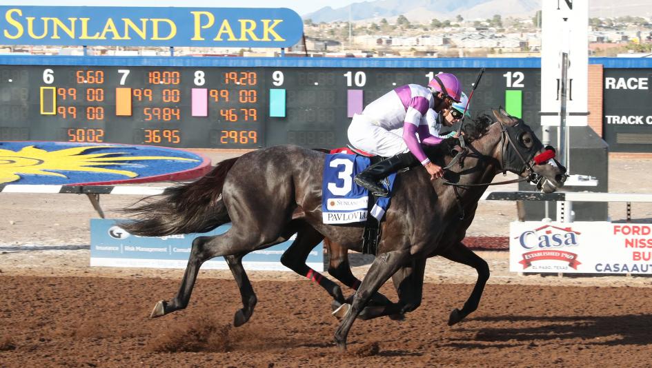 Pavlovian Edges Express Kid in Sunland Derby Thriller