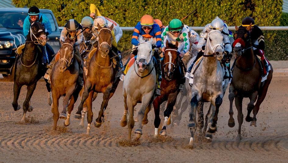 Pegasus World Cup, Gulfstream Park, Disco Time, British Isles, Full Serrano, Banishing, Skippylongstocking, Madaket Road, Tappan Street, Poster, Captain Cook, Mika, White Abarrio, Brotha Keny, jockey, trainer, horse racing, ABR