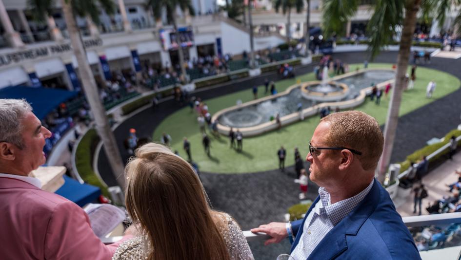 ABR Trifecta Picks for the 2026 Pegasus World Cup