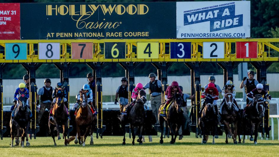 Penn Mile Stakes, Penn National, Bonsai Warrior, Baytown Dreamer, Classic Nofty, Teddy’s Rocket, Immortalised, Honey Dutch, Alpyland, Mark Casse, John Velazquez, Javier Castellano, horse racing, ABR