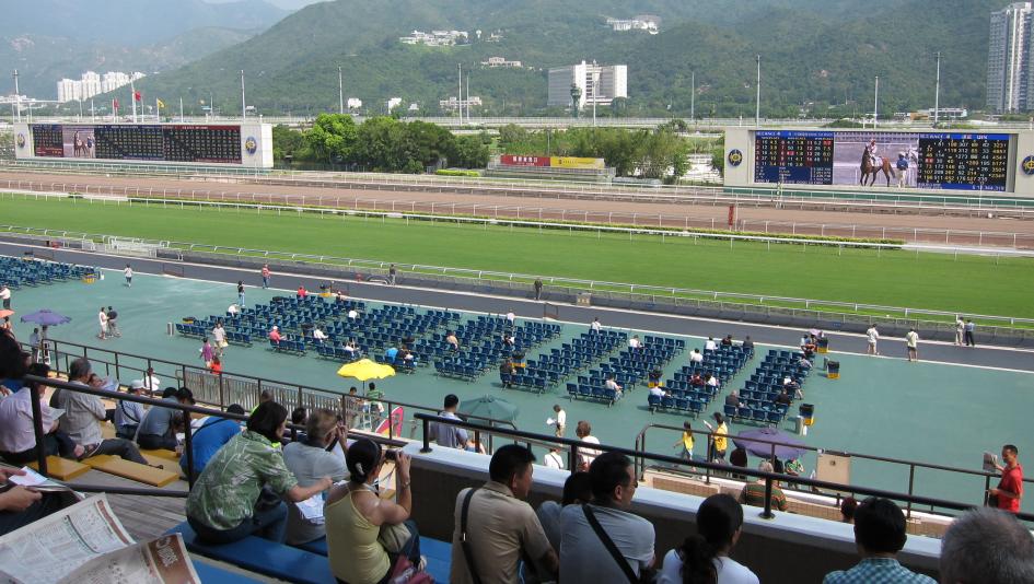 How to Read and Understand a Racecard Ahead of Race Day